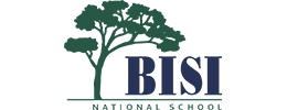 BISI National School