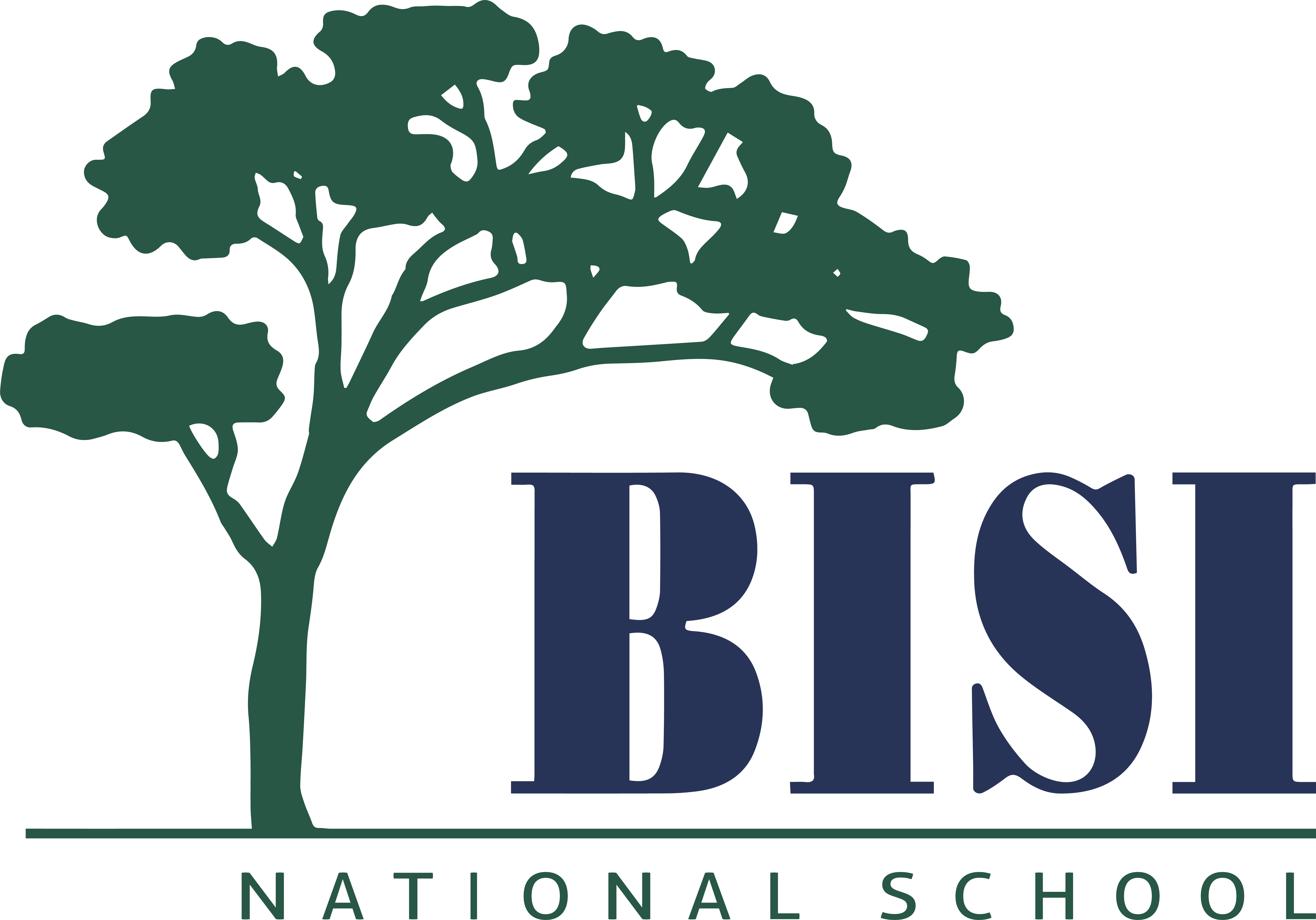 BISI National School