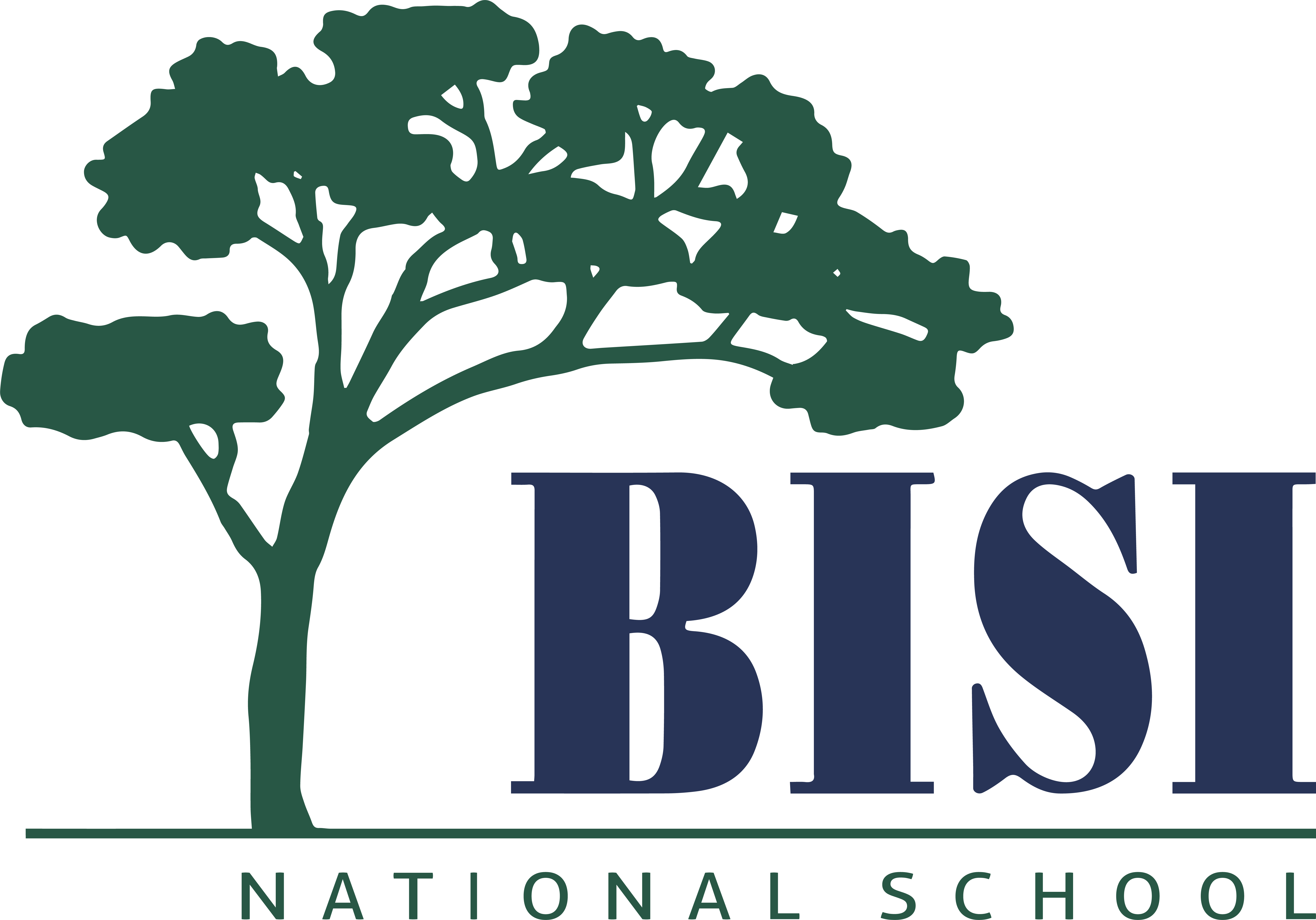 BISI National School